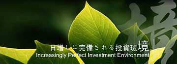 ���ź��ֹ�ί��Ͷ��ָ��